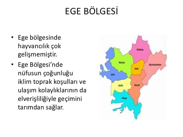 Ege Bölgesi Özellikleri